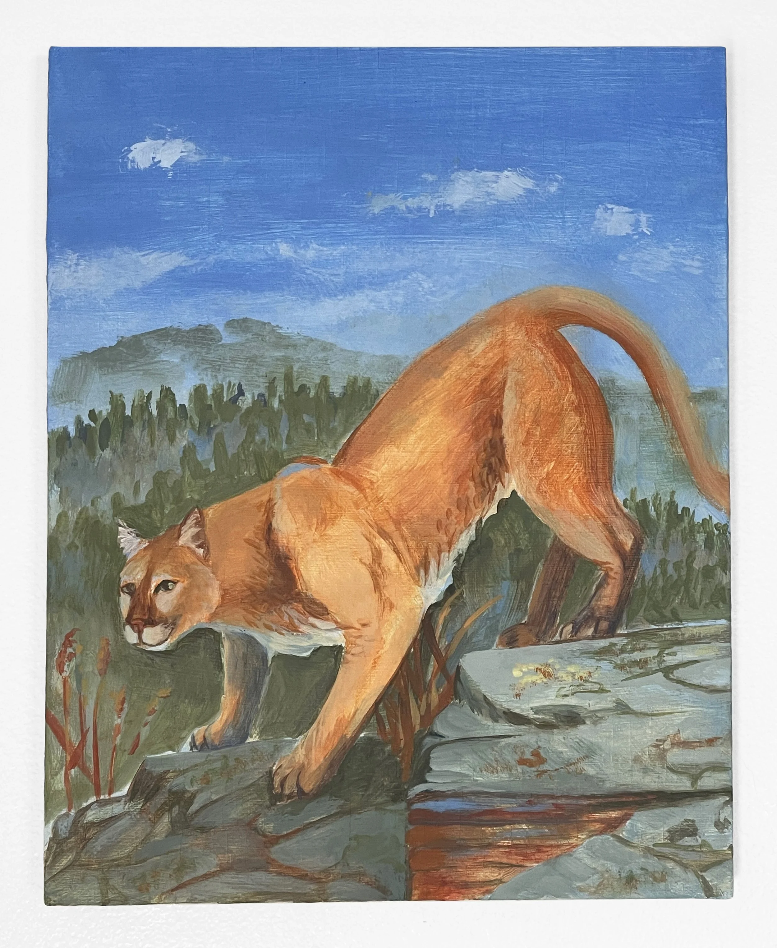  “Mountain Lion”, 8”h x 10”w, Acrylic and flashe on panel, 2026 