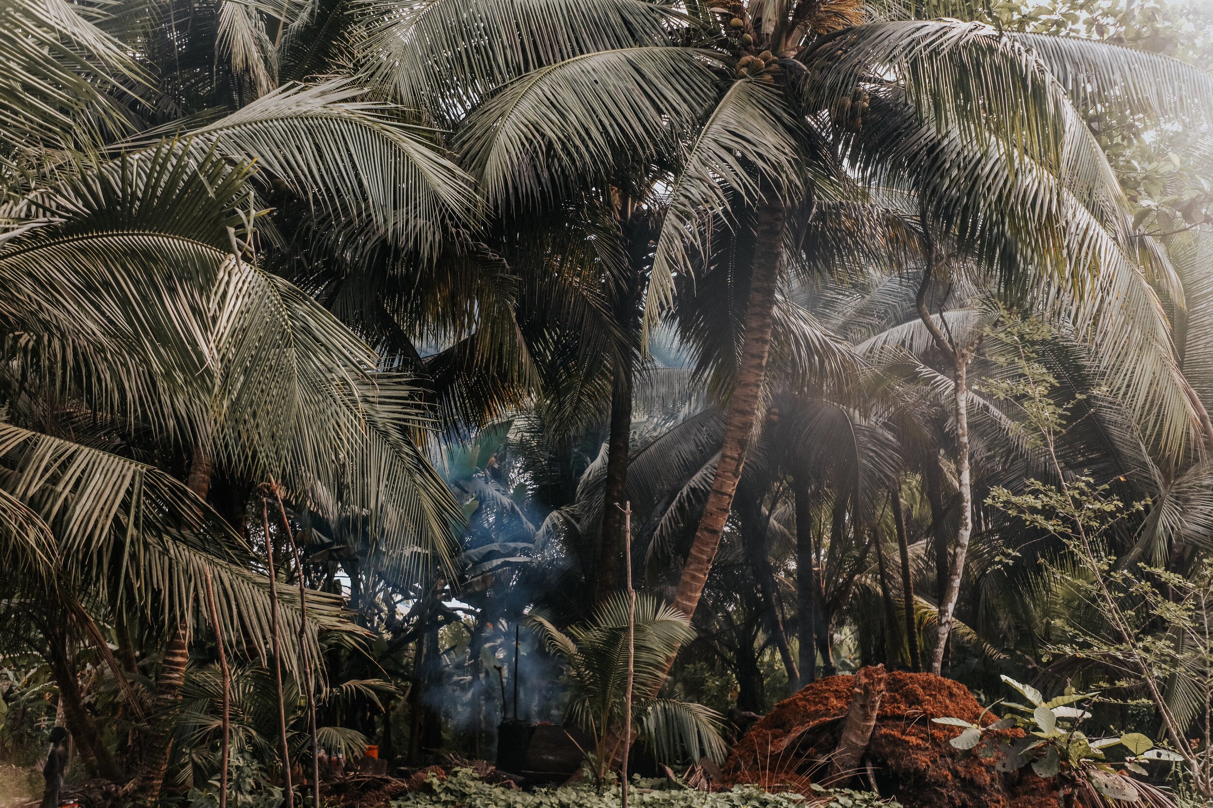 IMAGERY THAT LOOKS BEYOND