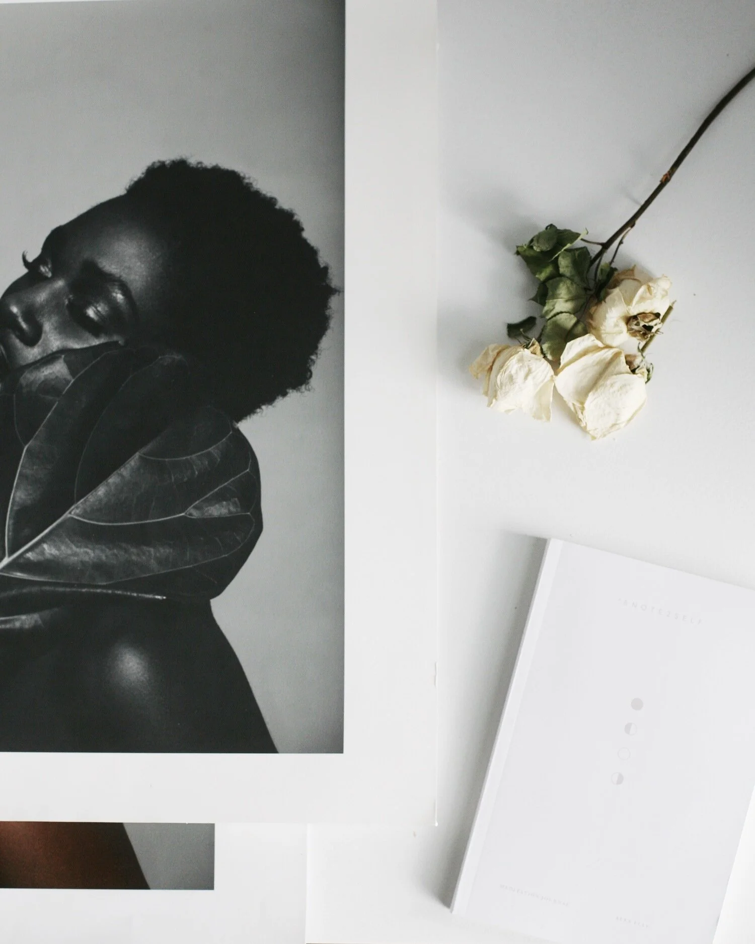 WARM, HONEST, AND DEEP PERSONAL BEAUTY