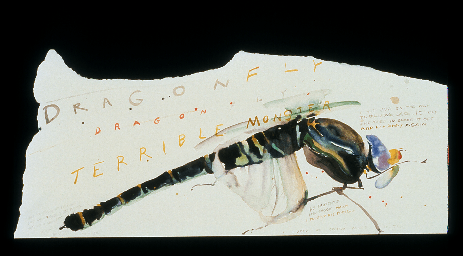 A dragonfly from Eklutna Lake in Alaska.