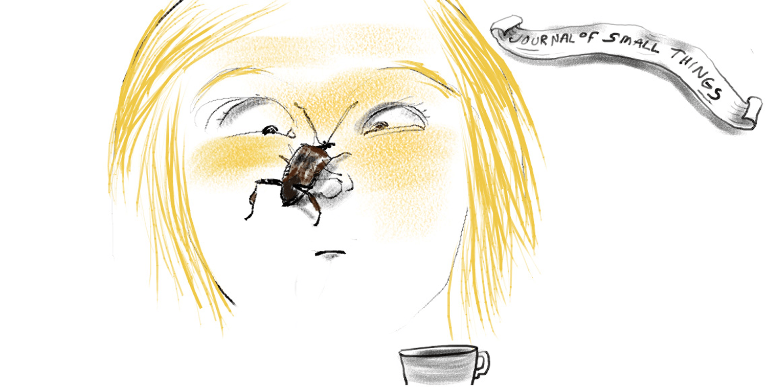 1. Bugs in winter. What's this?! Hey, who are you?