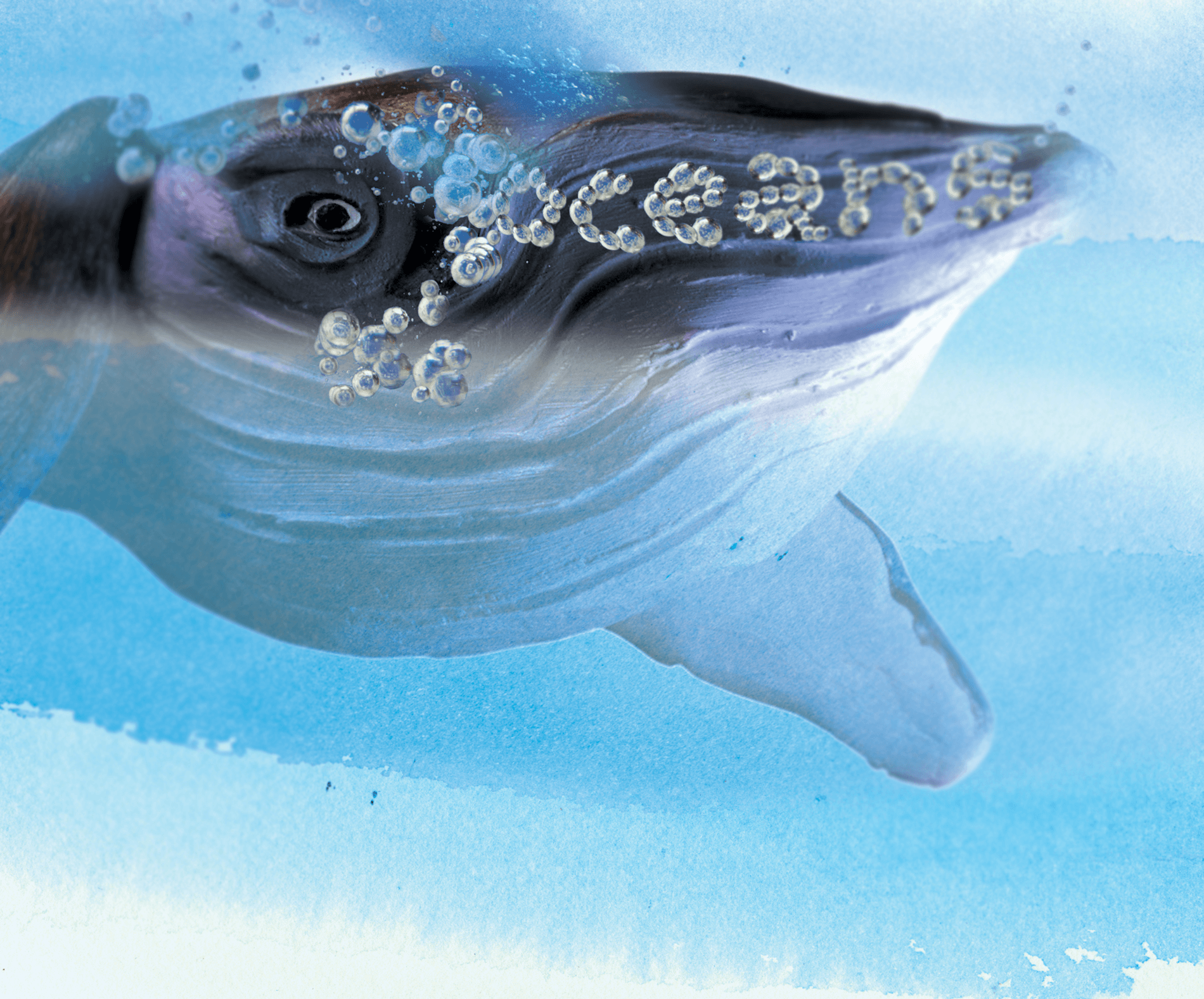 Dimensional illustration for the movie "Oceans."