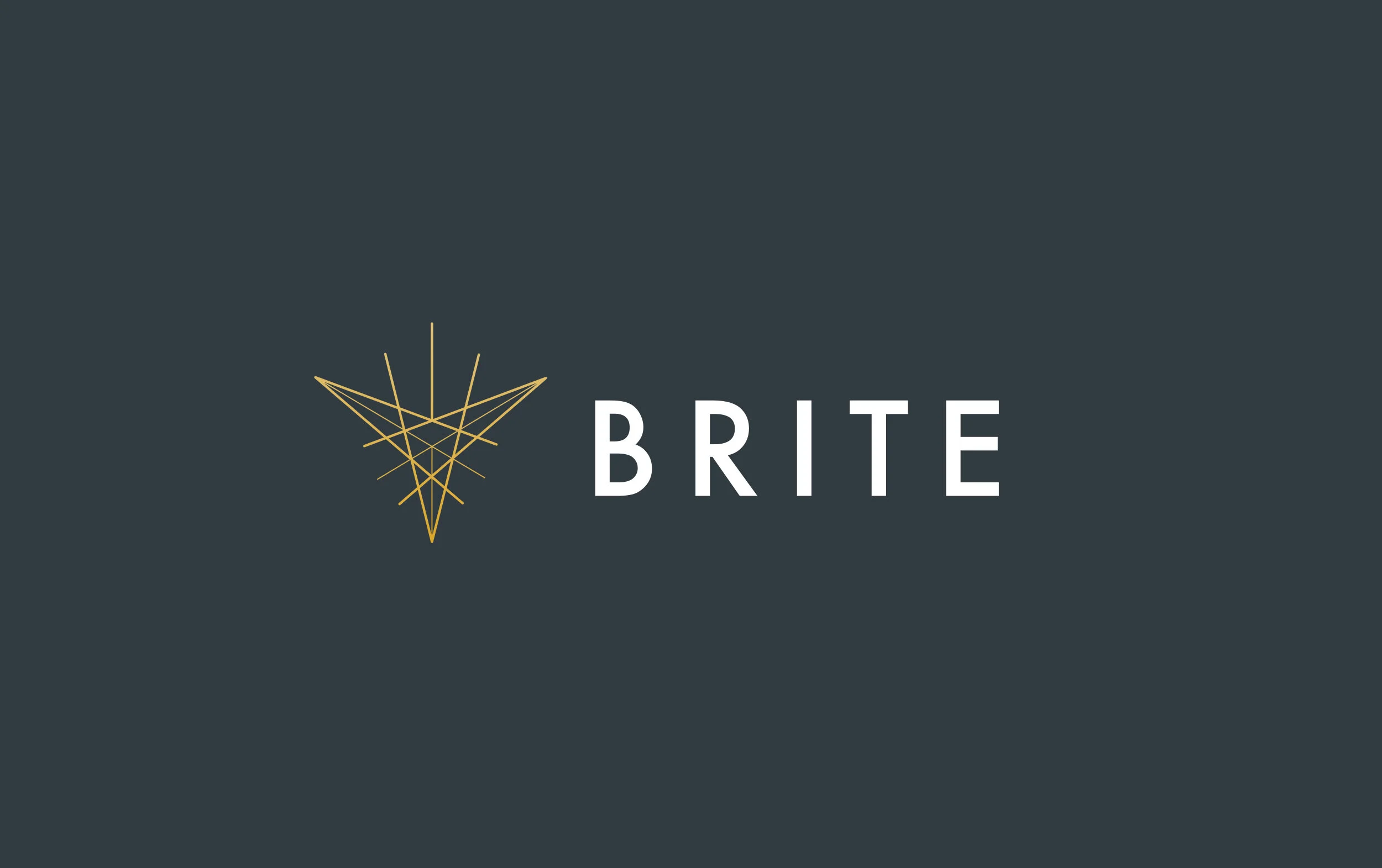 brite-branding.jpg