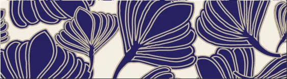 Blue and Yellow Tulip Seeds