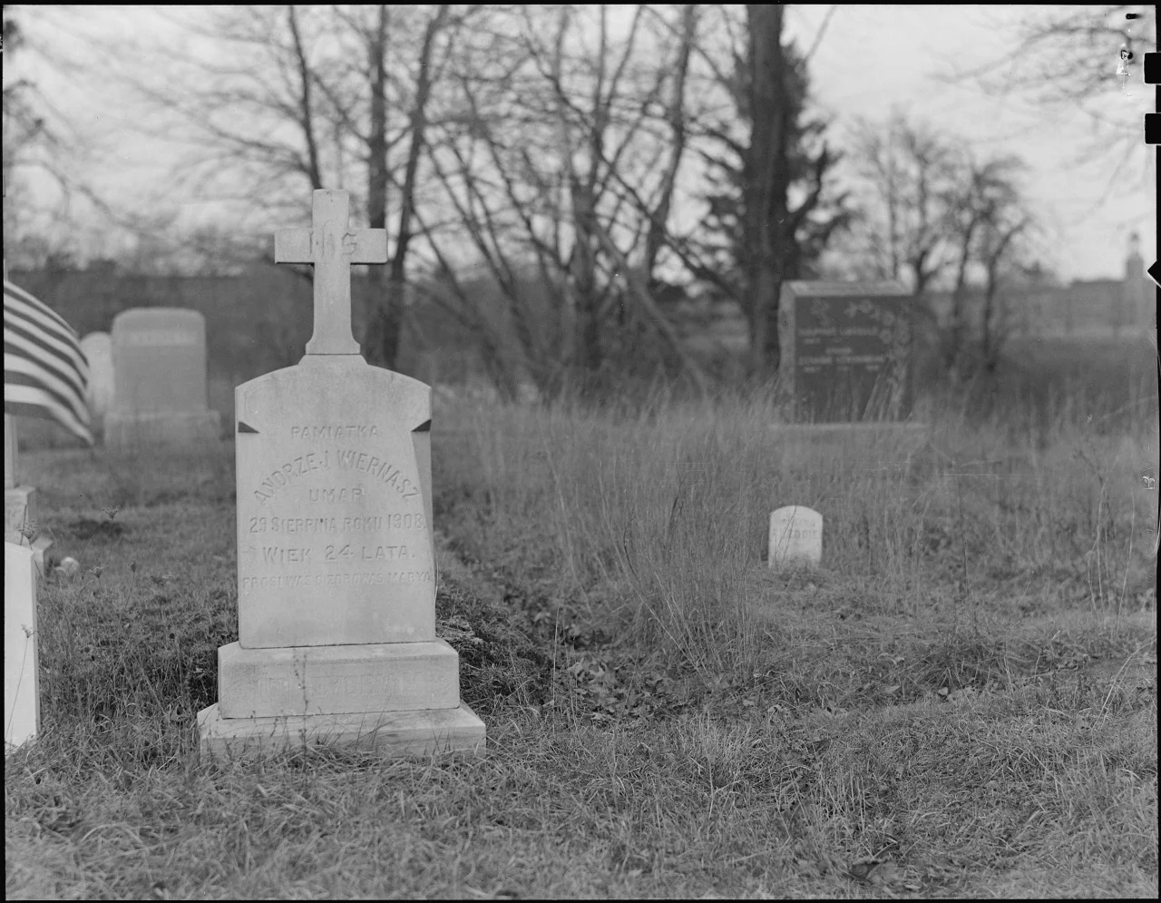 A Dead Goose Still Honks: A Synopsis of John Huss