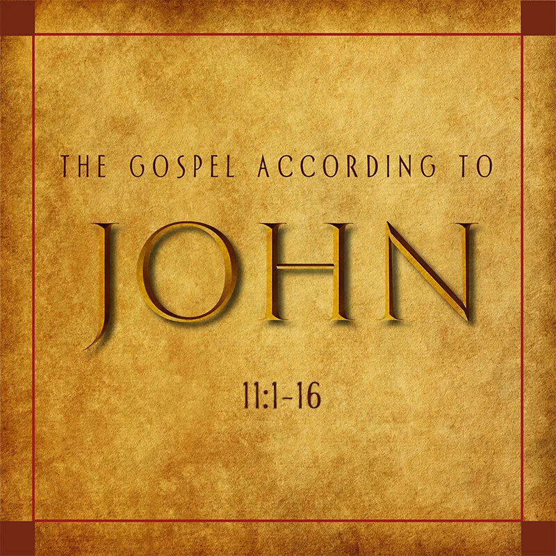 Following the Light through Darkness (John 11:1-16)