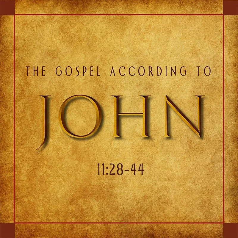 Marvelous Messiah (John 11:28-44)