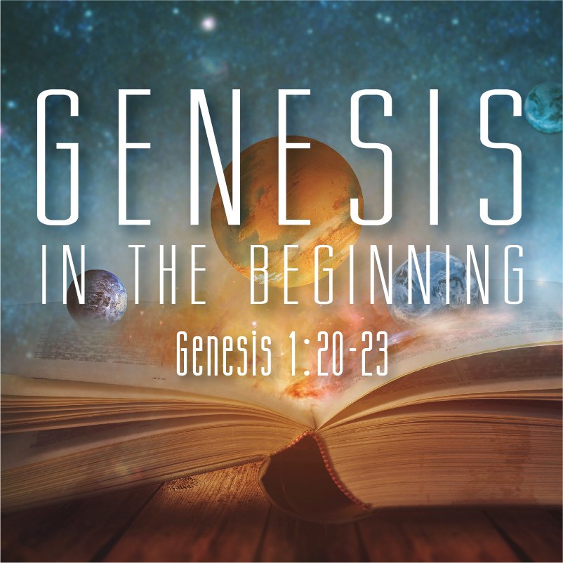 The Fifth Day (Genesis 1:20-23)