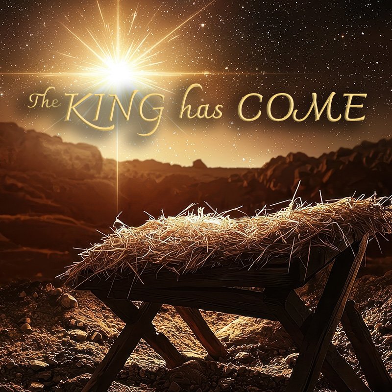 The King Has Come: Protected to Save Us (Matthew 2:7-15)