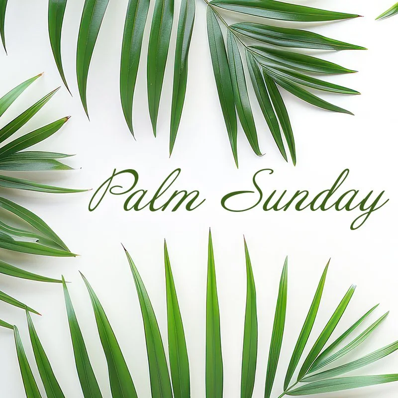 The Glory of God and the Passion of the Son (John 12:27–43)