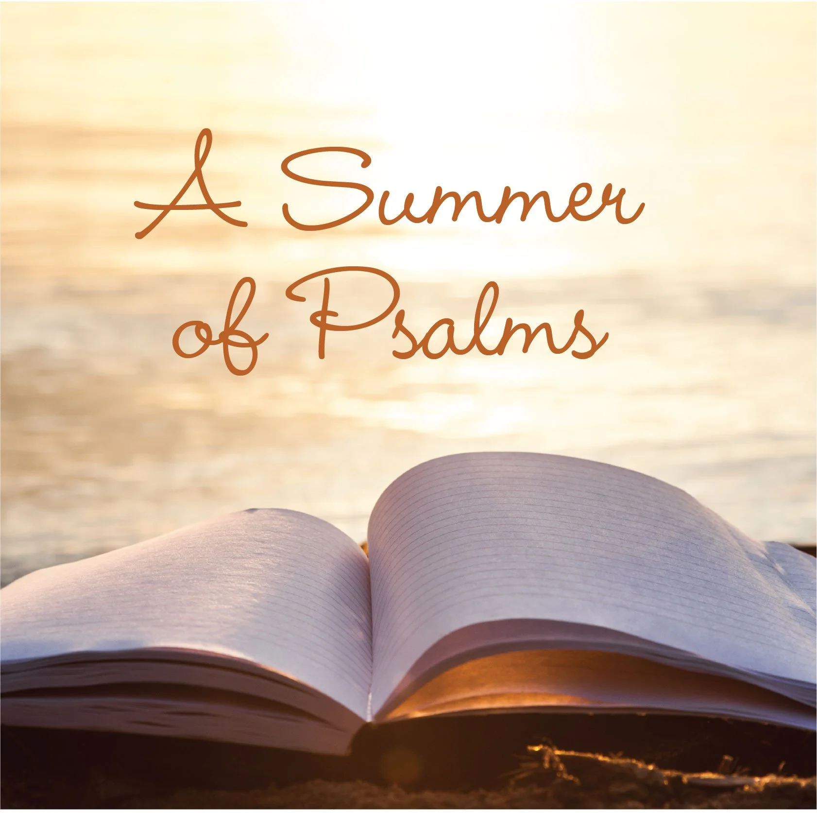 Praise Due to the Sovereign God of Splendor (Psalm 65)