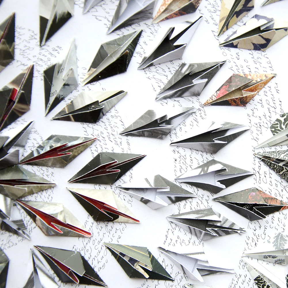 pequeñas pluma negras - Detail