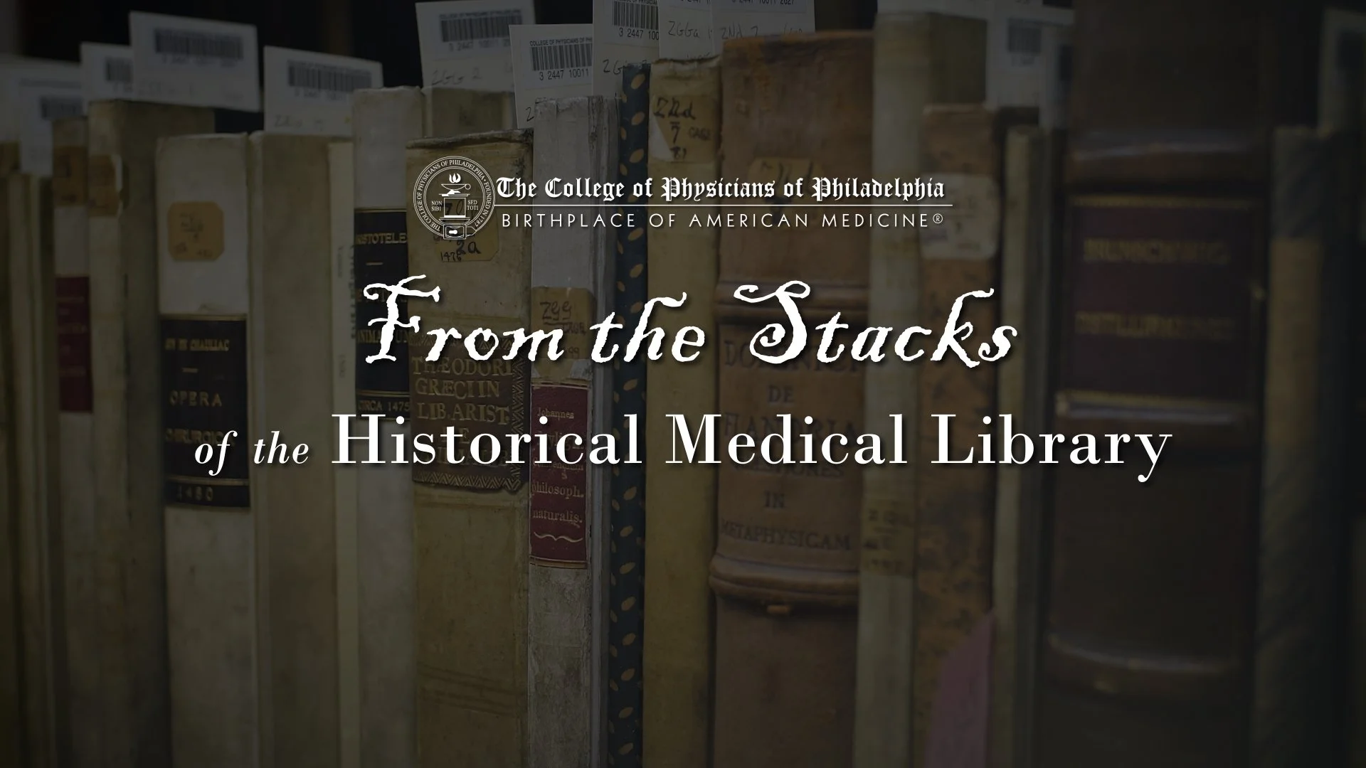 Library series intro.mov_snapshot_00.12_[2023.06.16_00.09.54].jpg