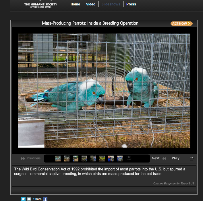 slideshow, humanesociety.org (copywriting and image narrative)