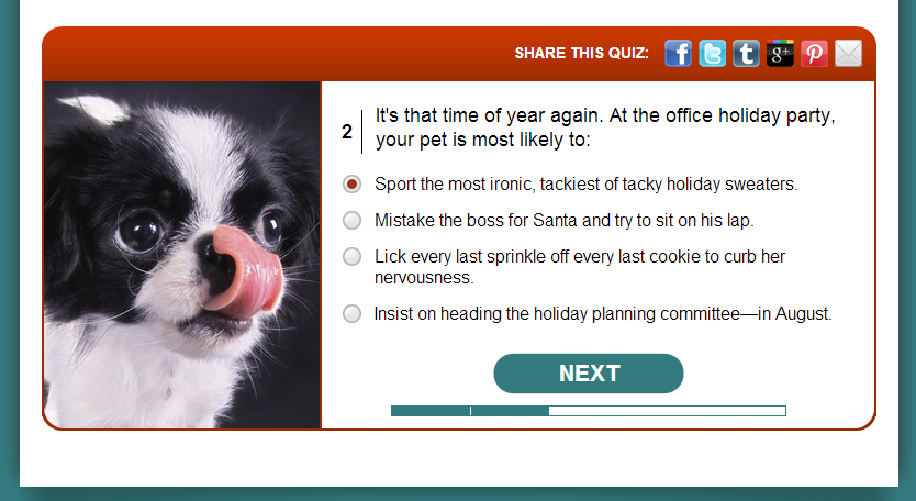 pet personality quiz, humanesociety.org (copywriting and editing)