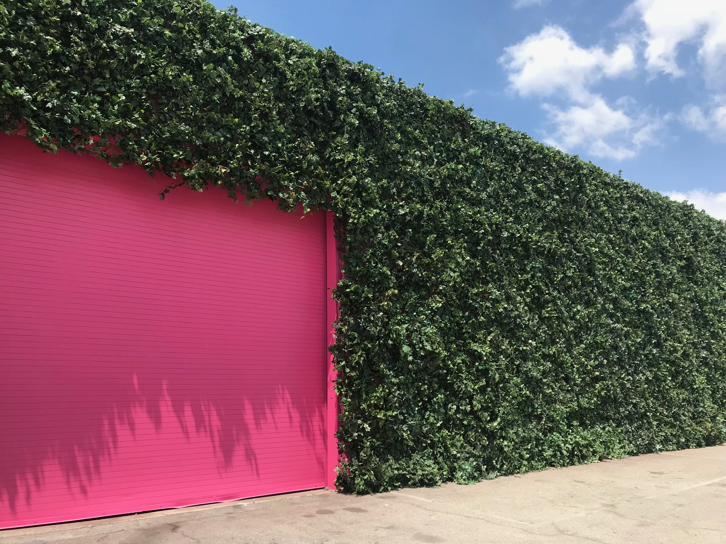 Painting it pink for tmobile