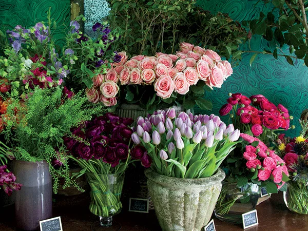 Perfumes In Nature