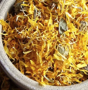 calendula-redone.jpg