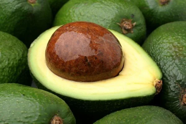 avocado.jpg