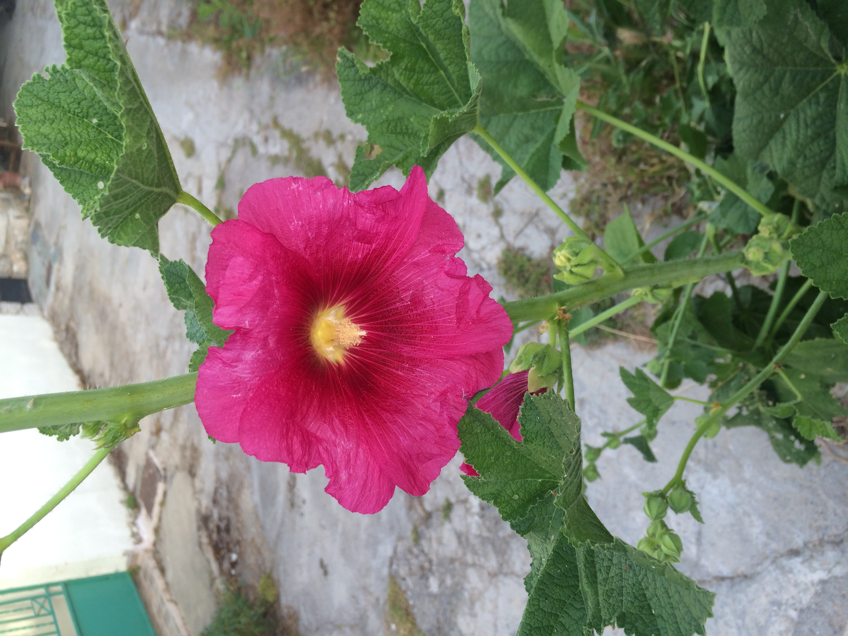 Avdou Village Crete