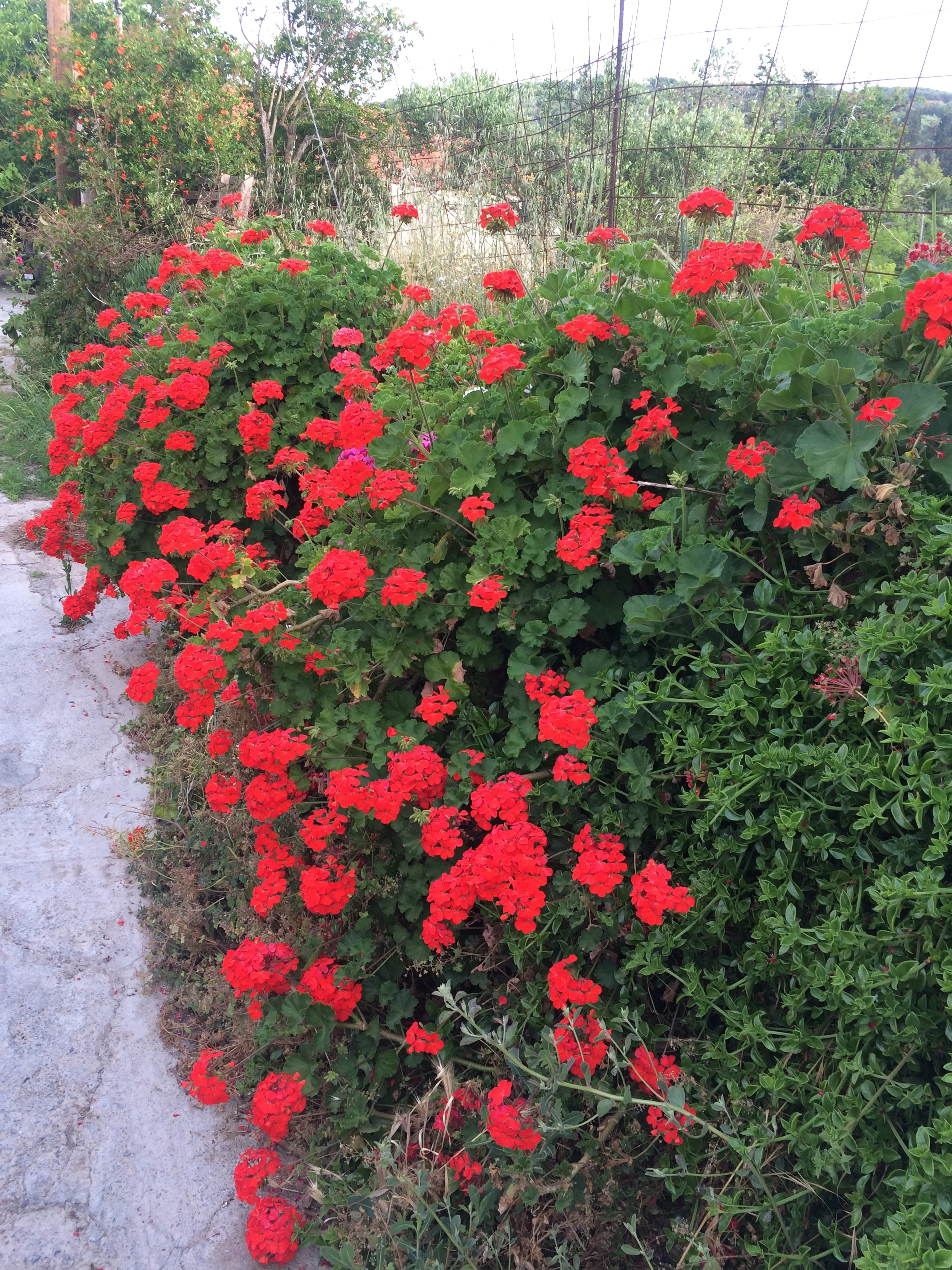 Avdou Village Crete