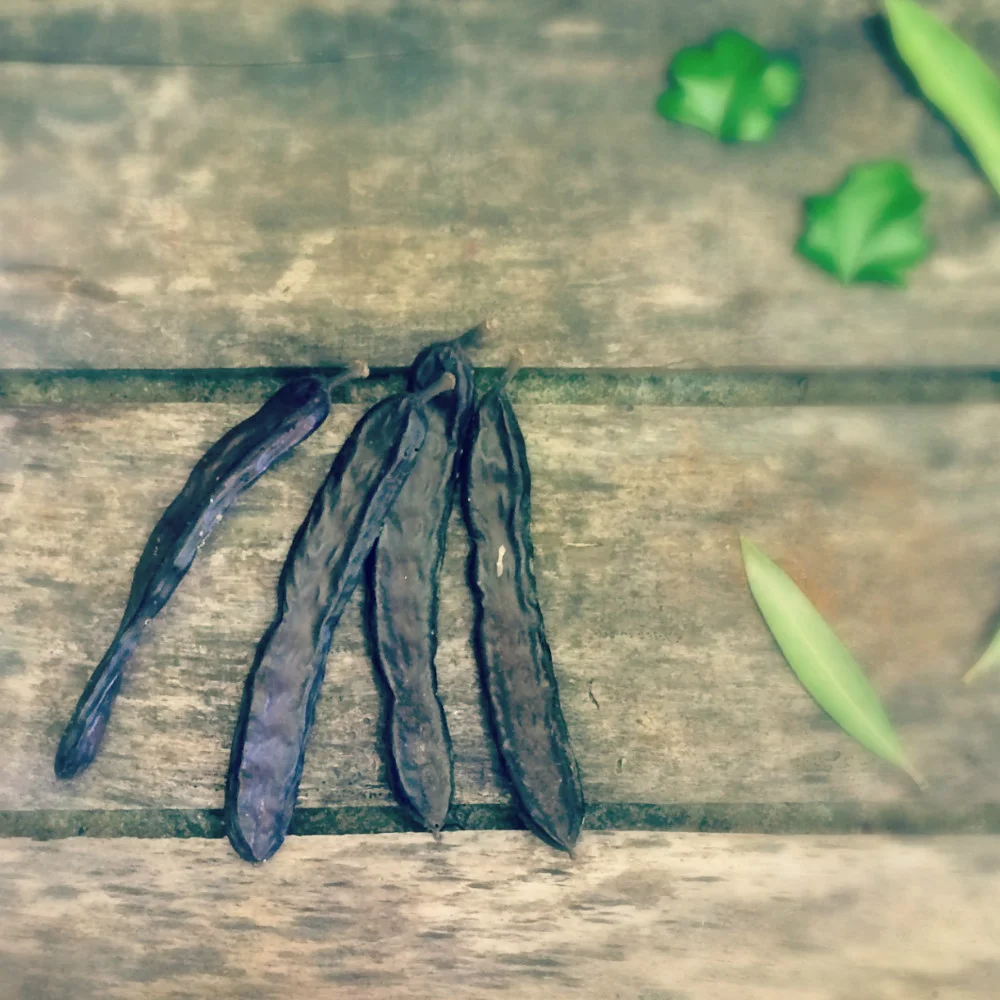 The Greeks Have Been Using Carob For Over 4,000 Years!