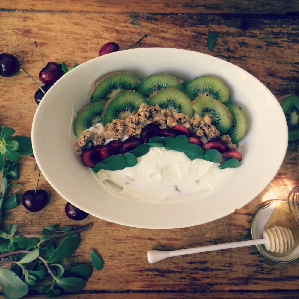 Greek Yogurt with Honey Avdou