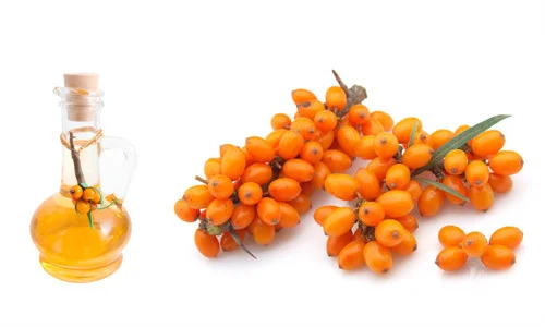 Sea Buckthorn