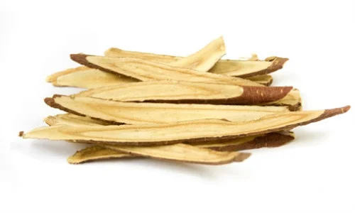 Astragalus