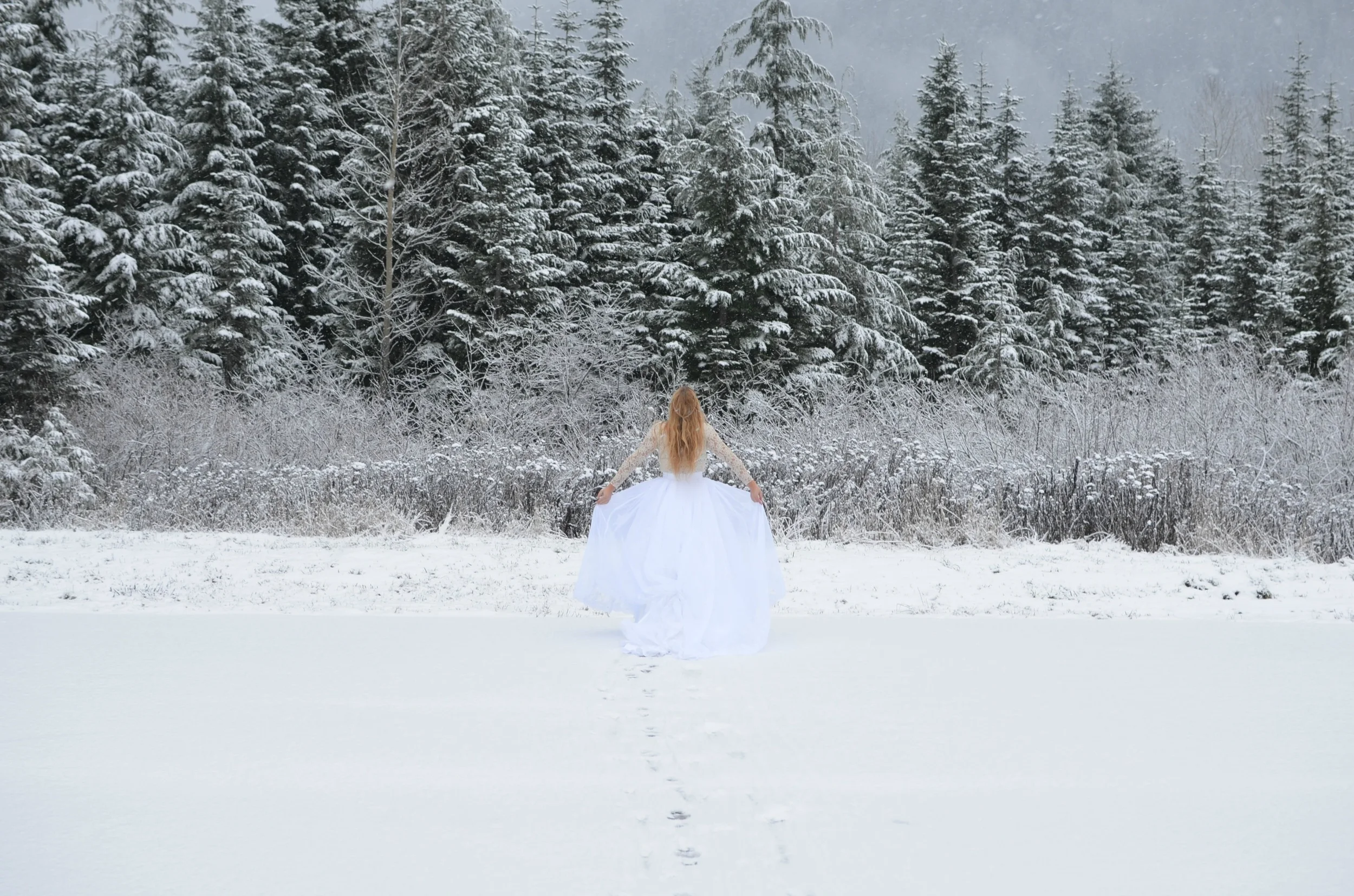 Discover The Healing Power of Warming Herbs On Cold Winter Days