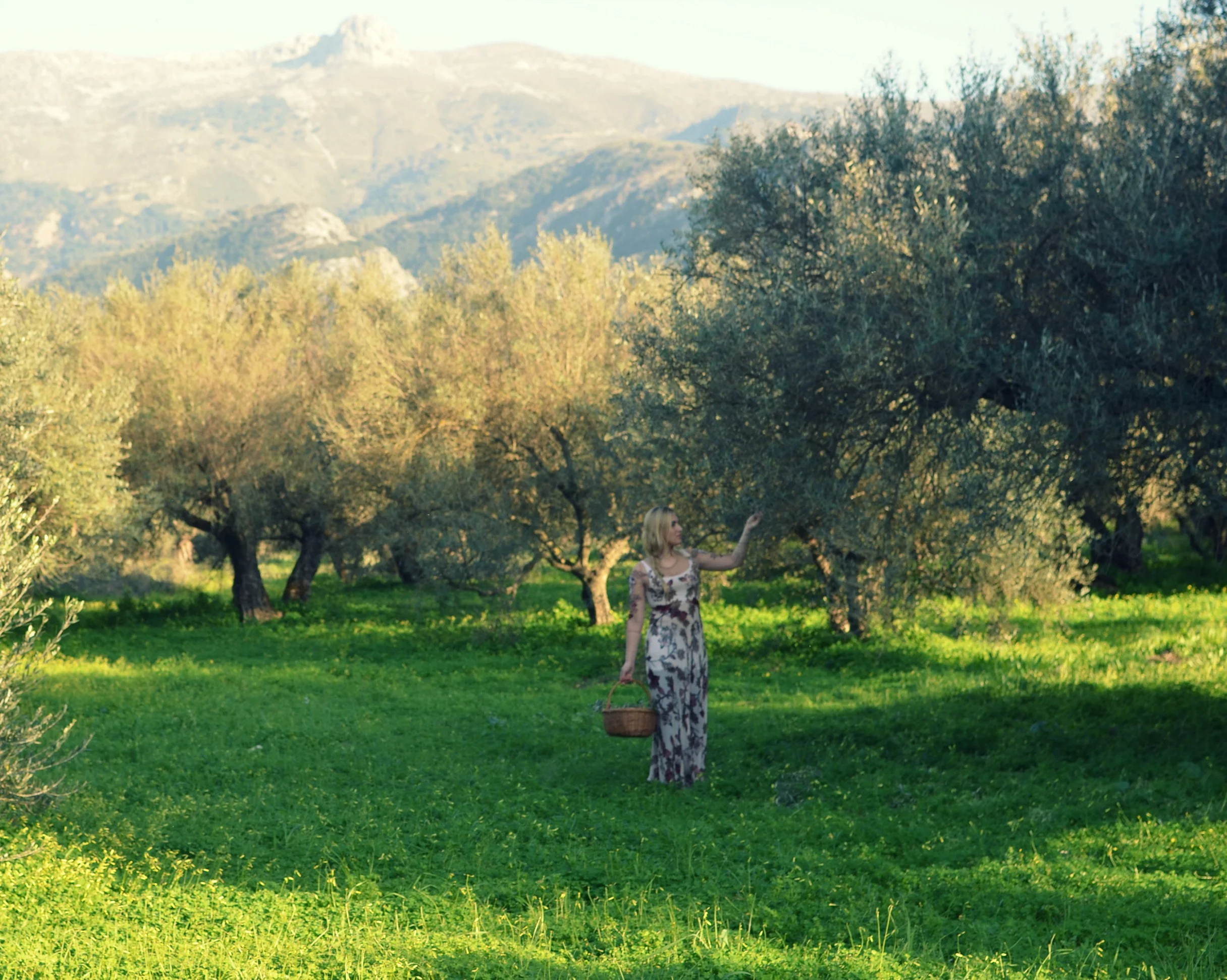 Sacred Oil: Nourishing Remedies with Olive Oil