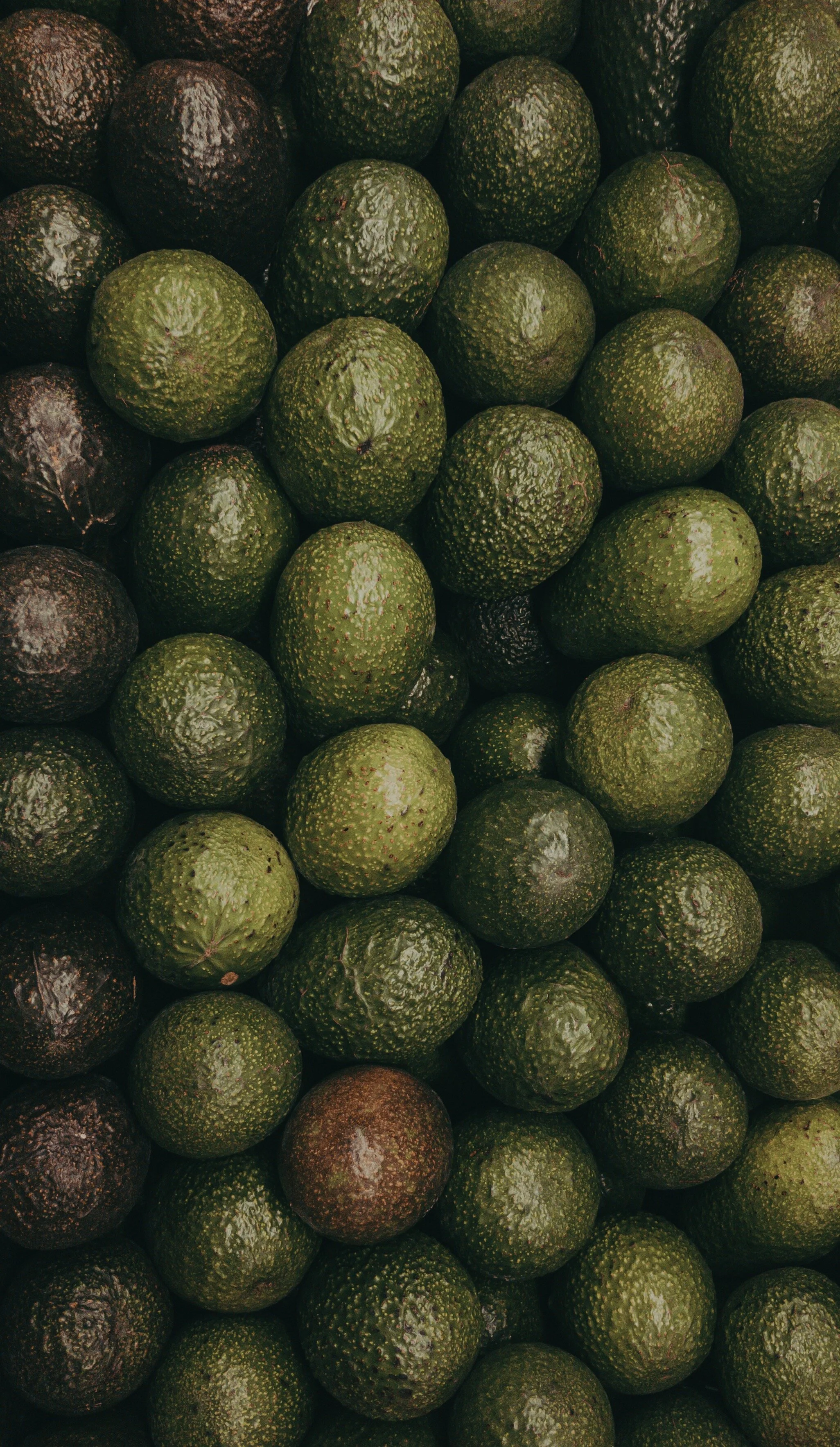 The Perfect On-The-Go Snack: Avocados