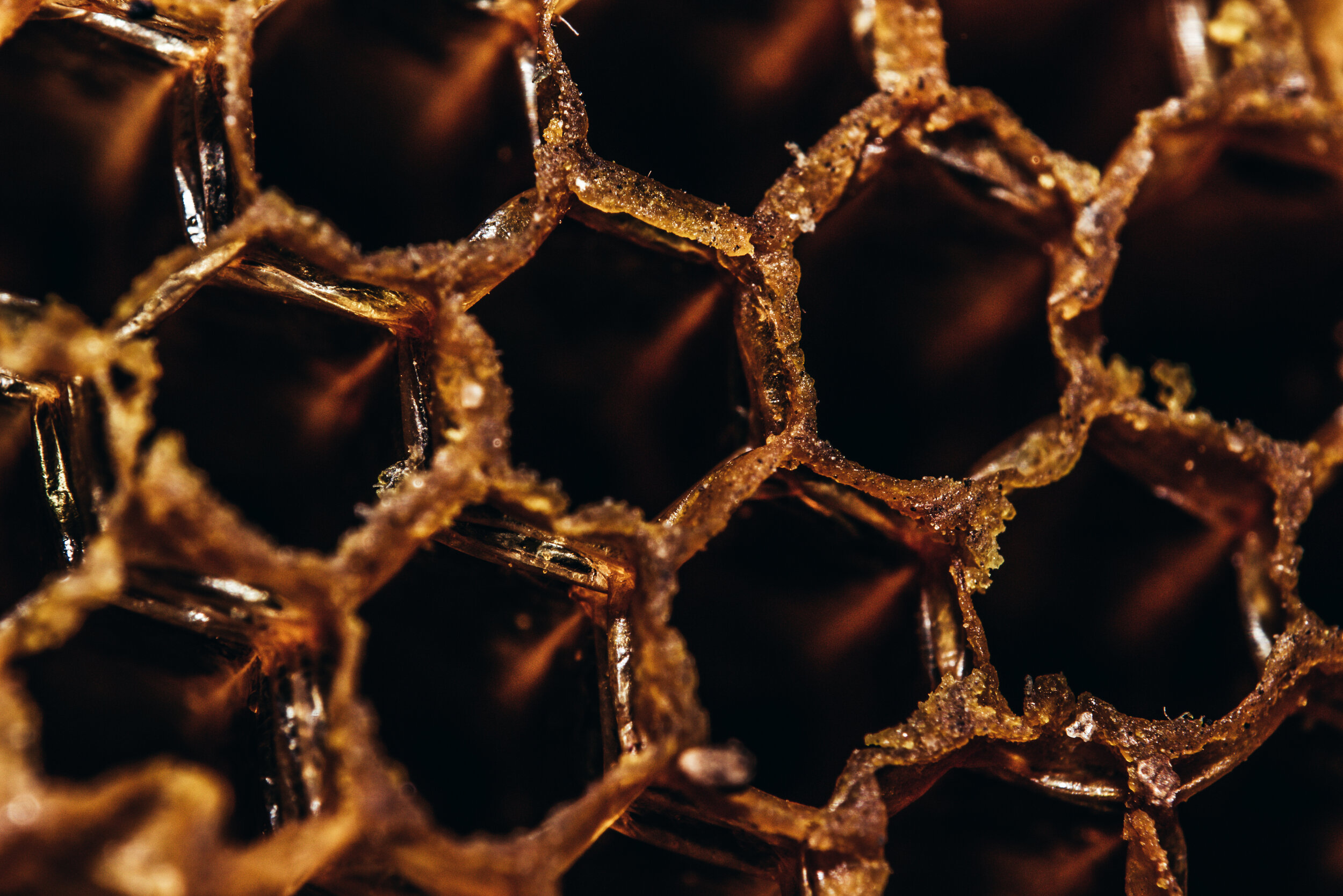 Add Some Honey To It