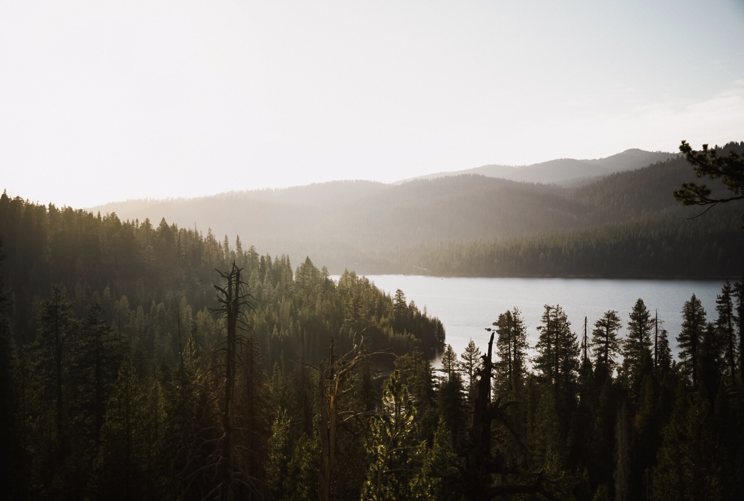 How Gratitude Can Improve Your Health