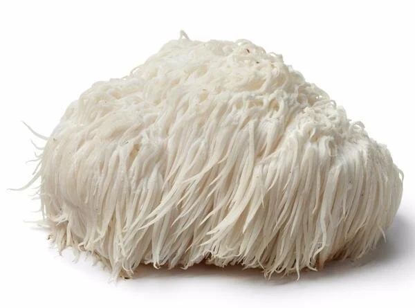 Medicinal Mushrooms Dr. Michele Burklund