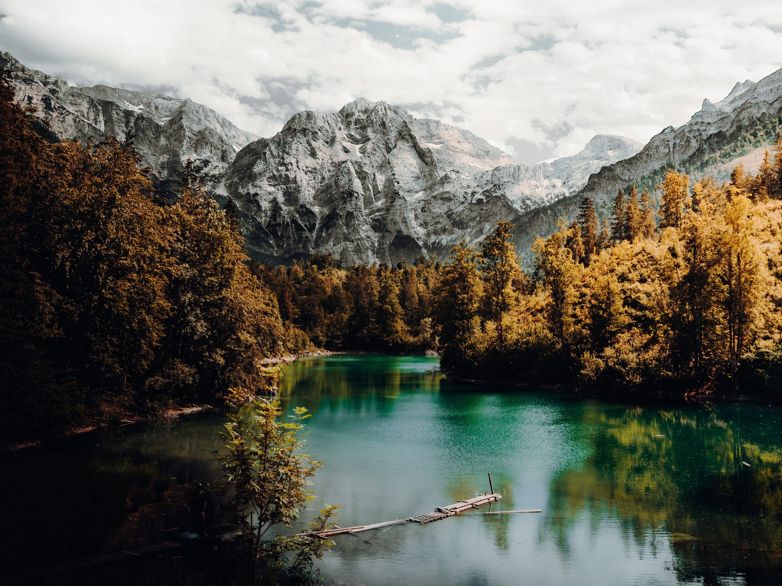 Dr. Michele Burklund Medicine Wild Get back to nature