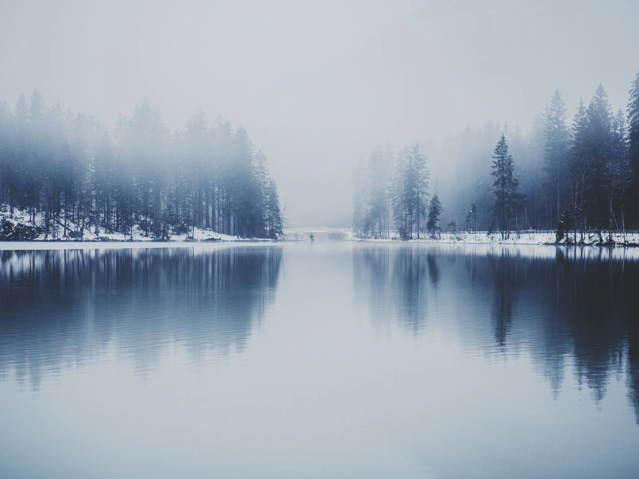 Dr. Michele Burklund Medicine Wild Winter Skin Foods