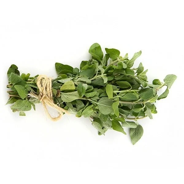 OREGANO CRETE GREECE