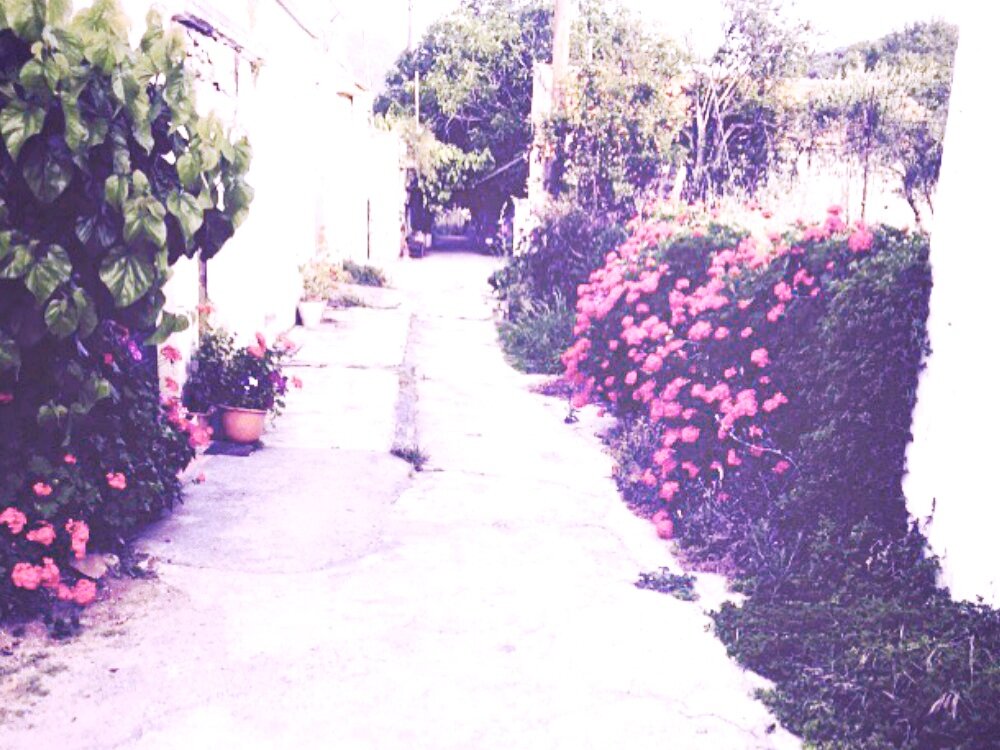 Avdou+Village+Crete