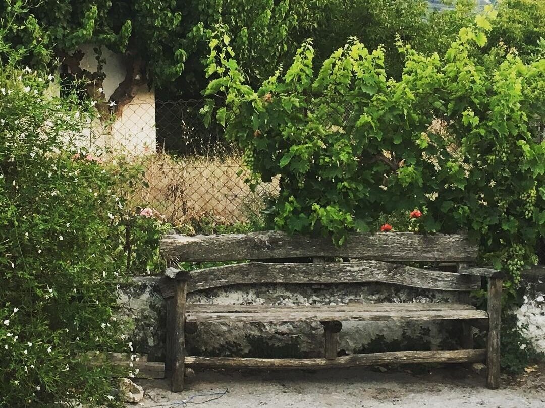 Dr. Michele Burklund Medicine Wild AVDOU CRETE GREECE