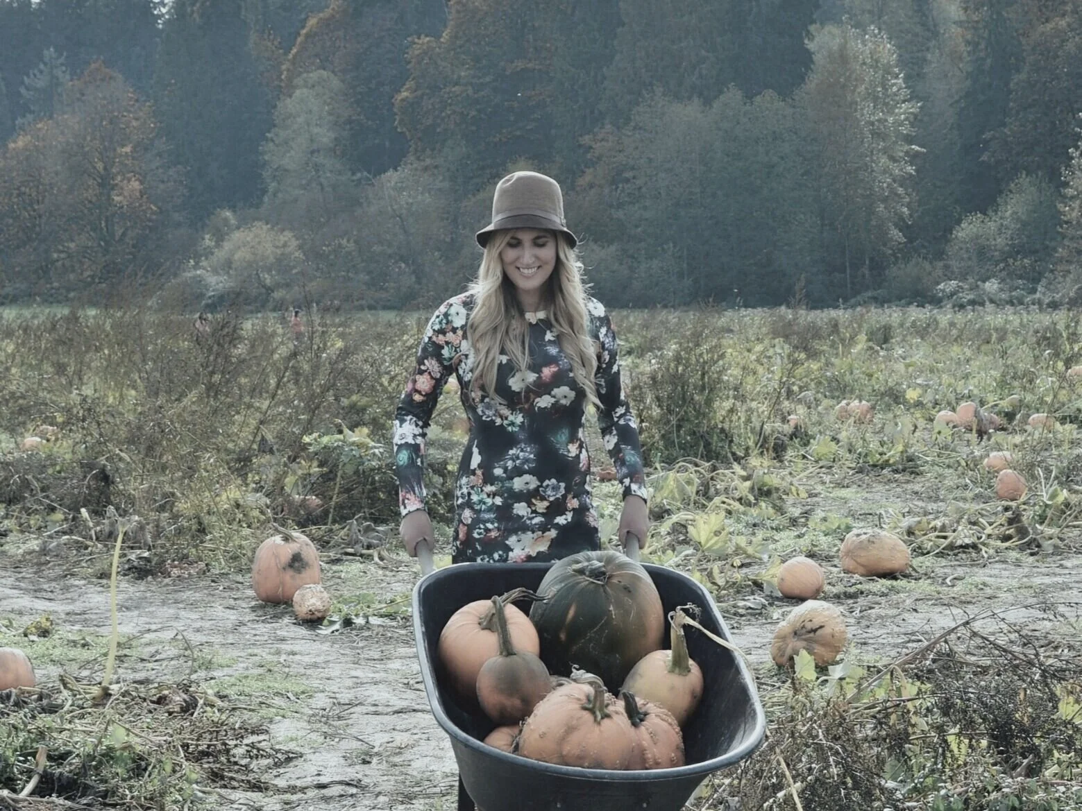 Dr. Michele Burklund Medicine Wild PUMPKIN