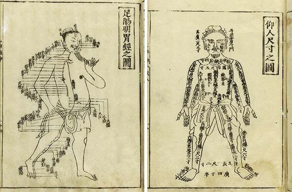 TCM MERIDIANS.jpg