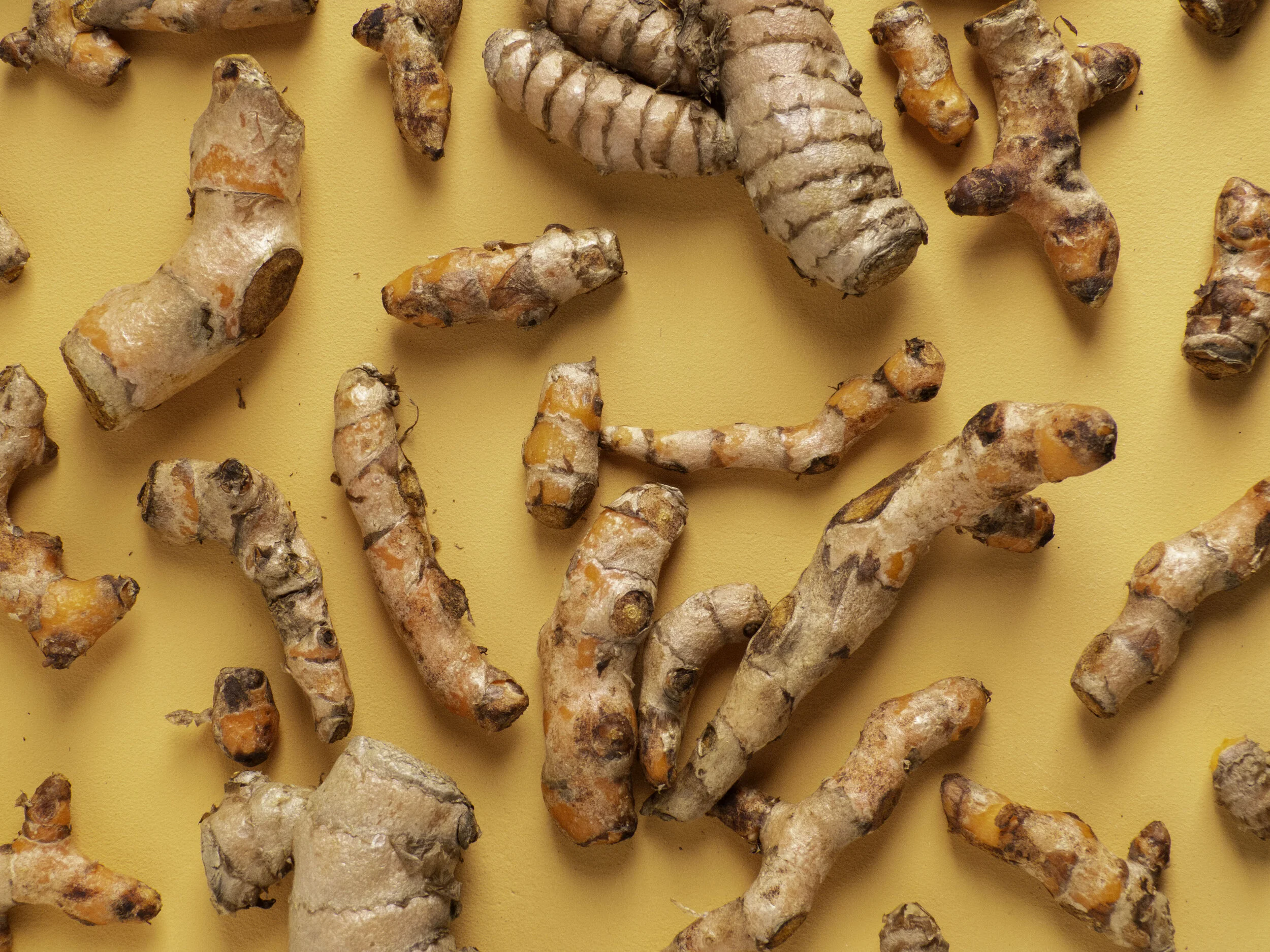Healing Culinary Herbs
