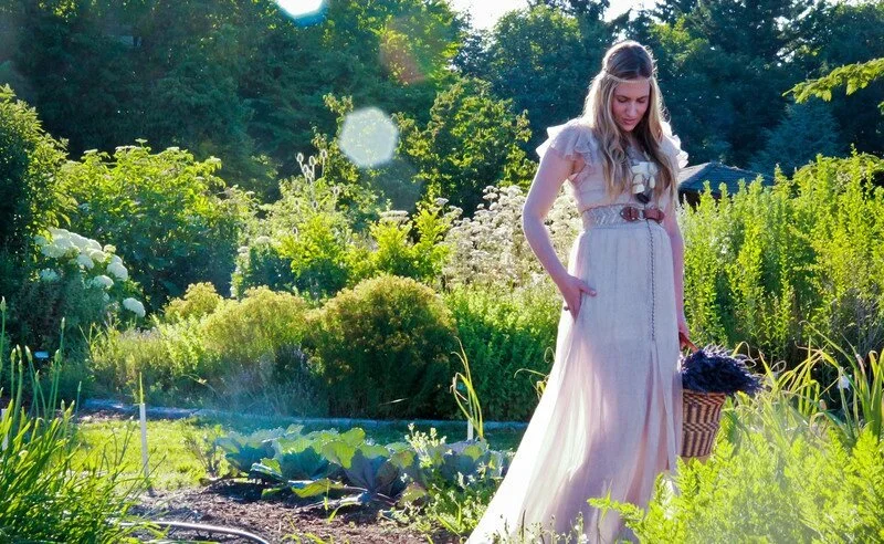 Dr. Michele Burklund Medicine Wild lavender