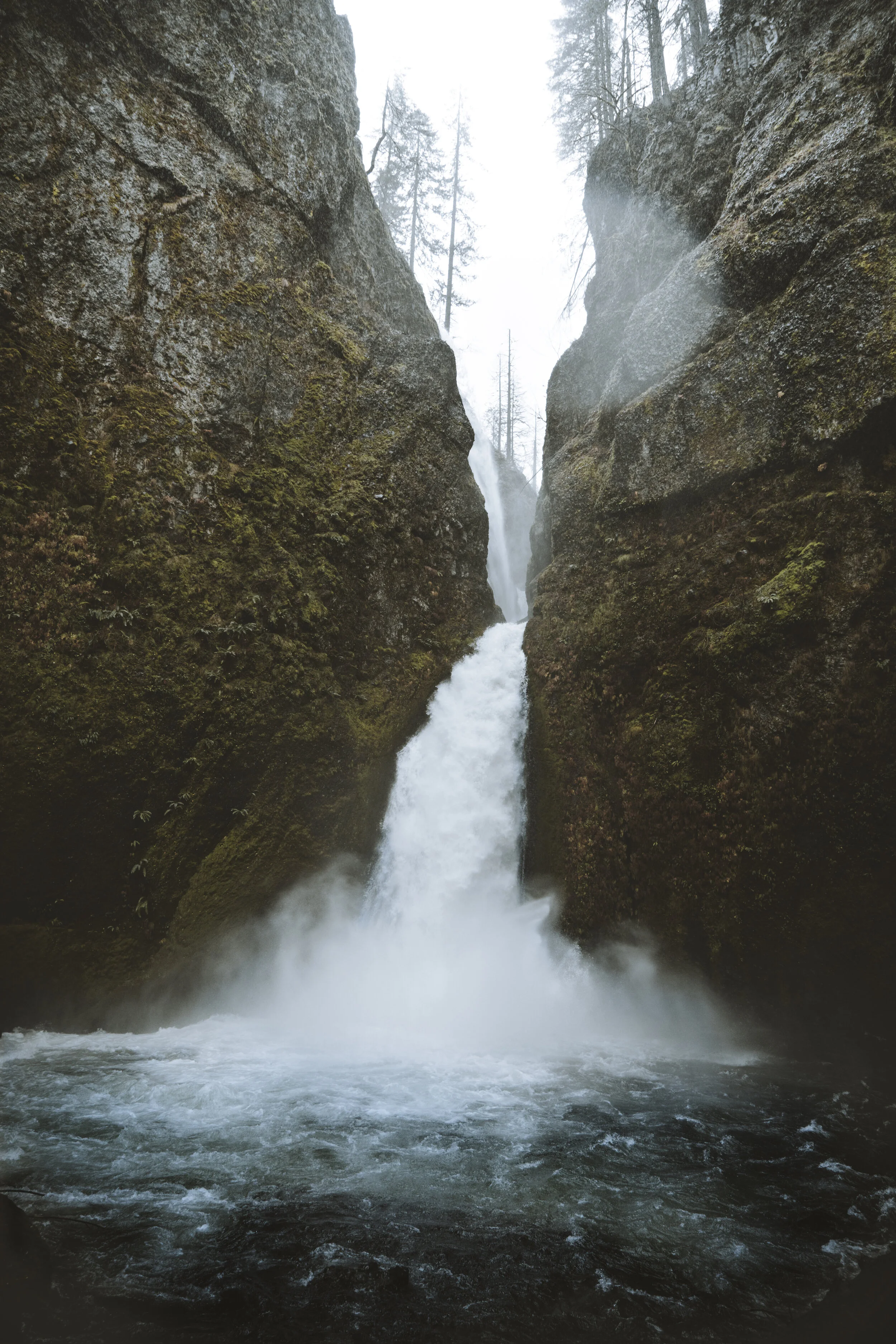 Treat The Cause: look deeper than symptoms 
