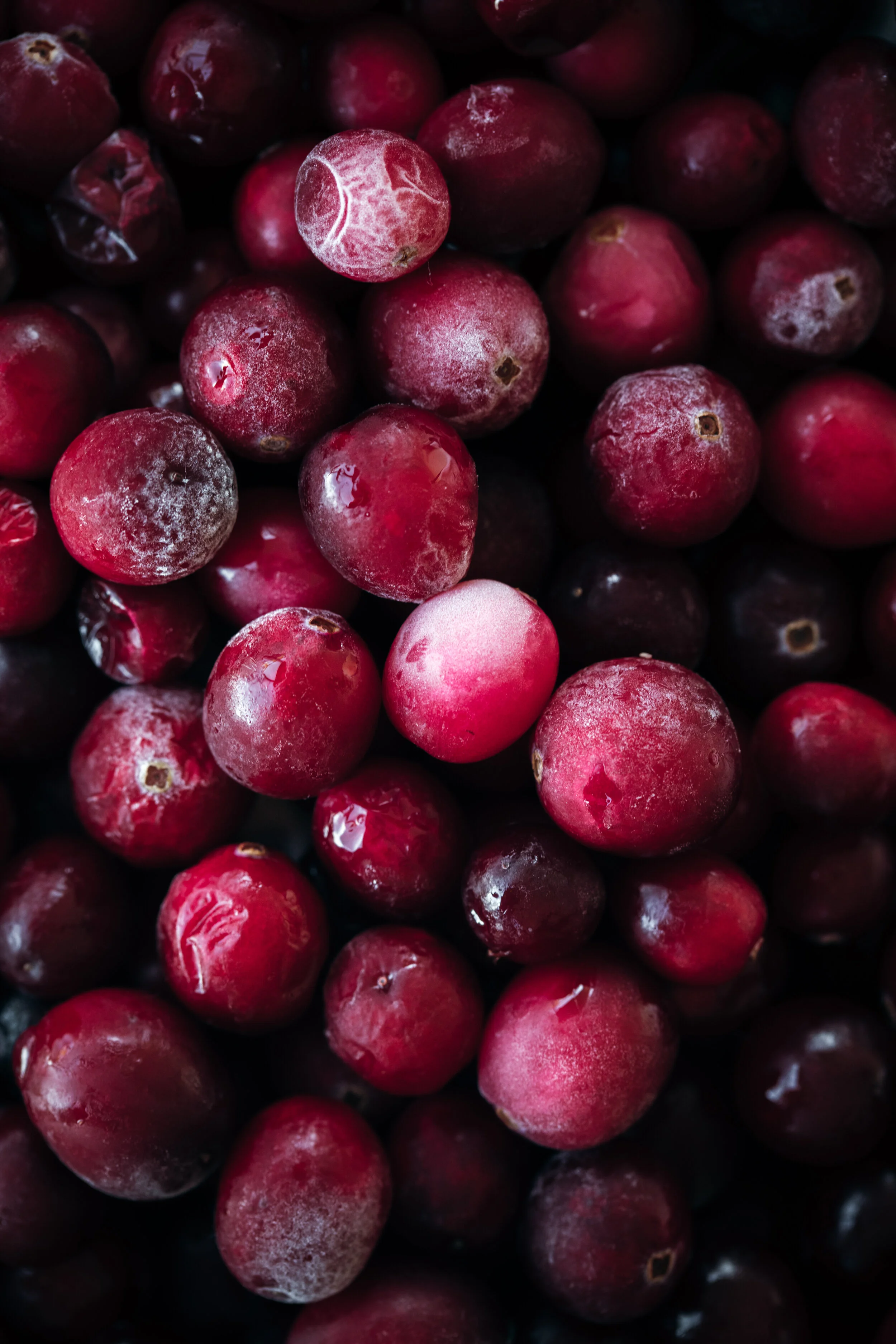 Antioxidant &amp; Vitamin Rich Cranberry Salad