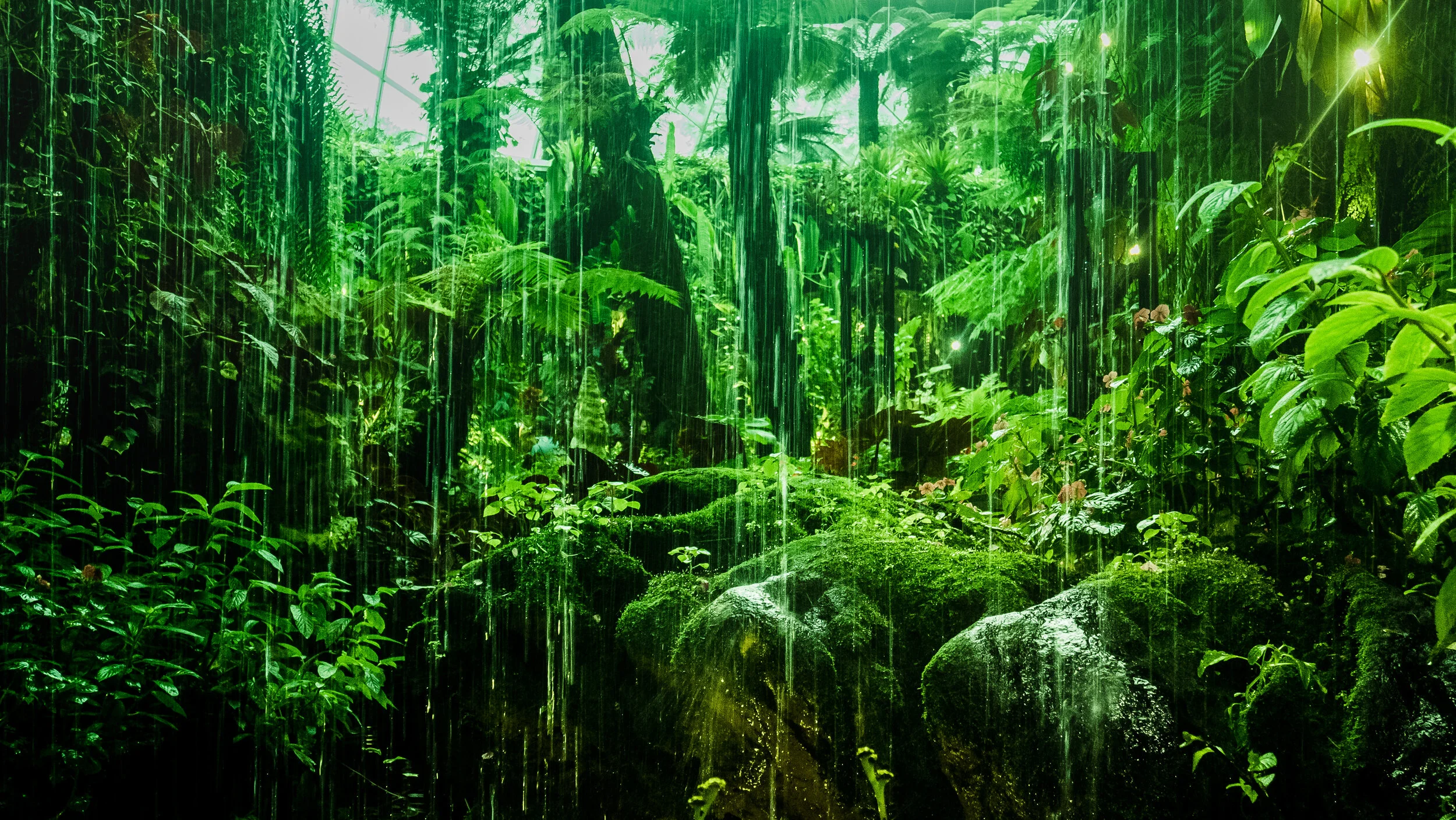 Stimulate The Vis: boosting your immune system from within
