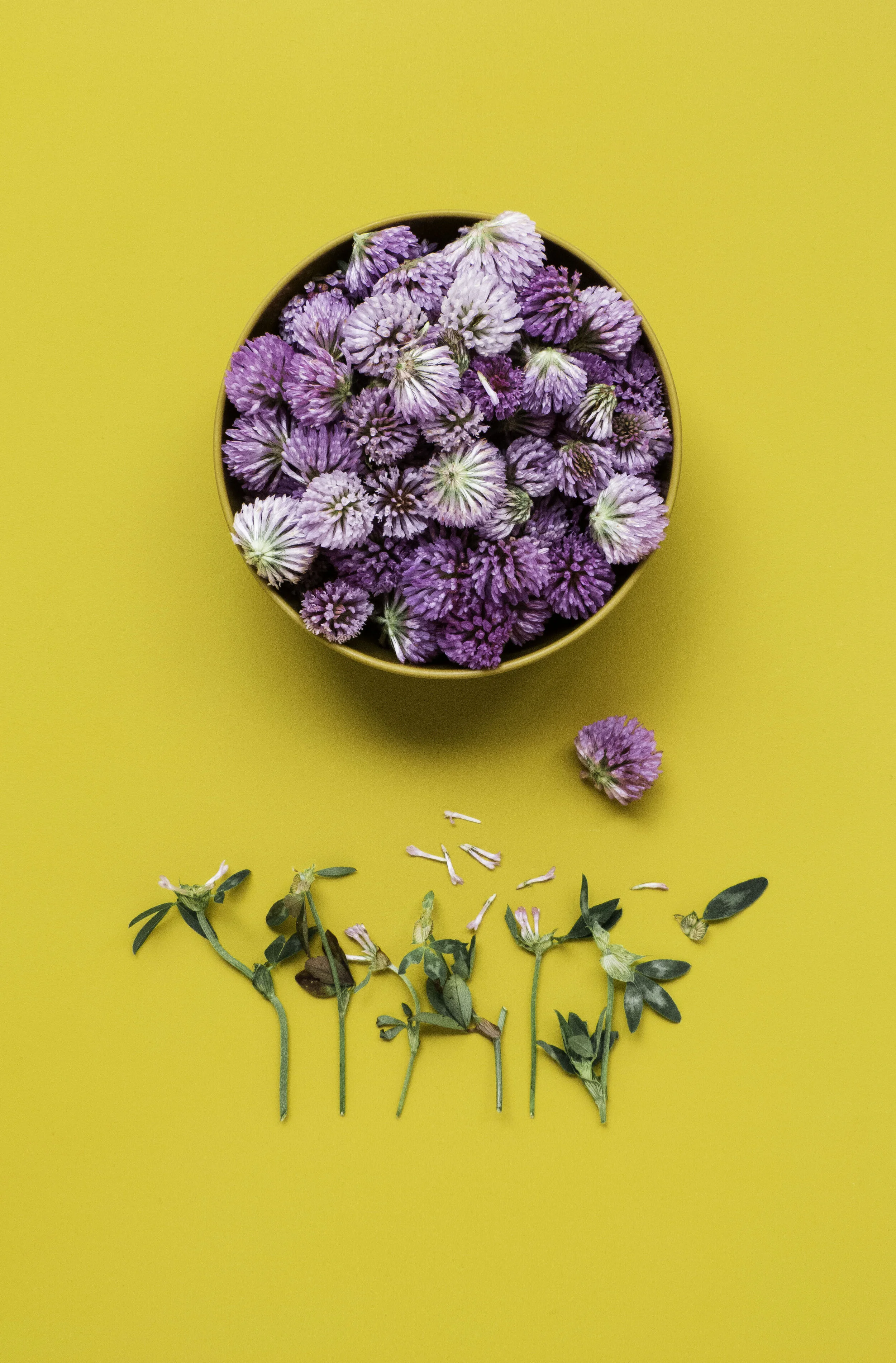 Ways To Balance Hormones From Getting Off Birth Control to Menopause