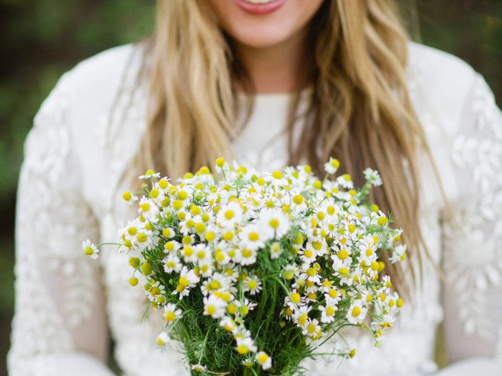 Plant Monograph:  Chamomile for the ultimate beauty ritual