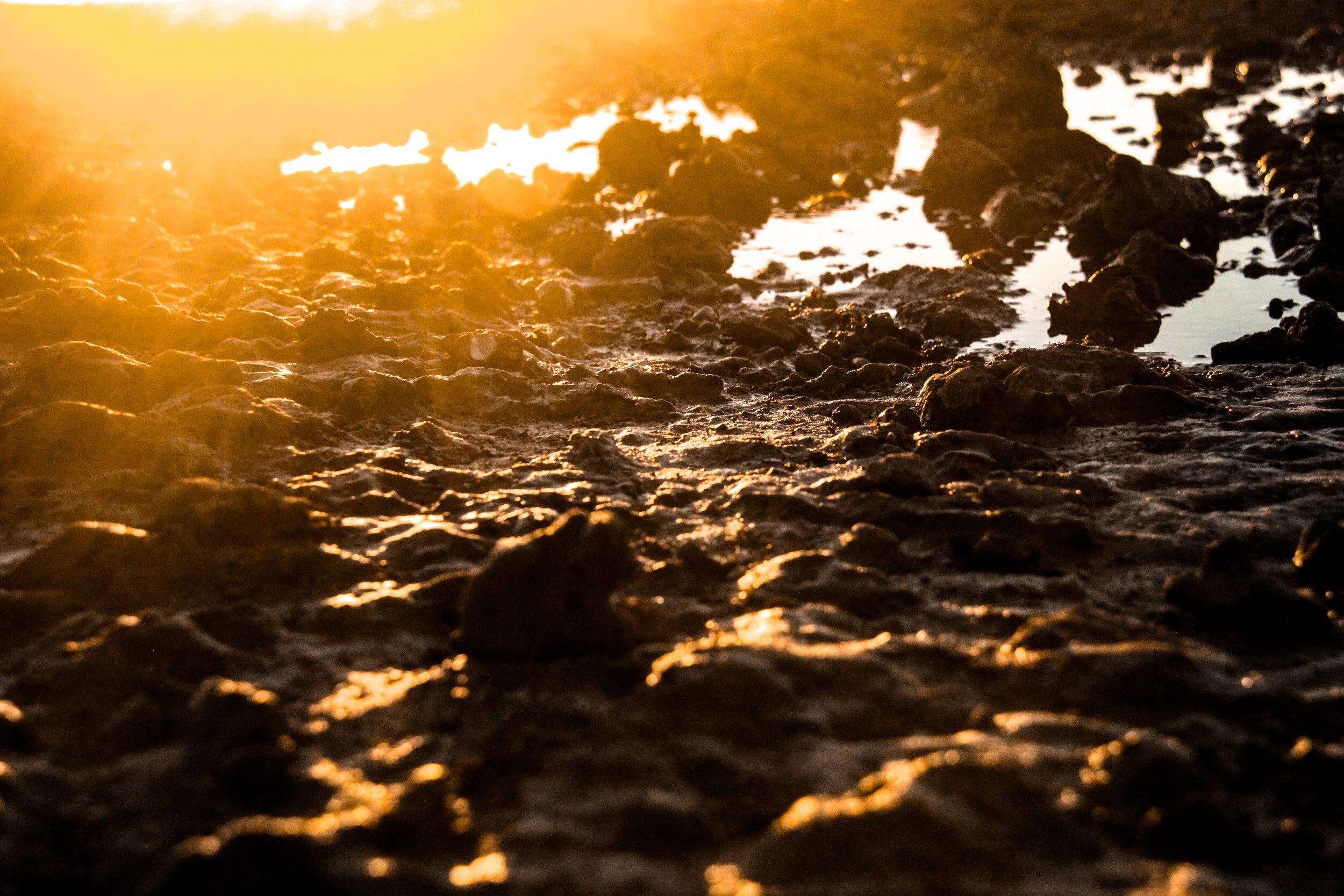 Magical Mud: detoxification benefits